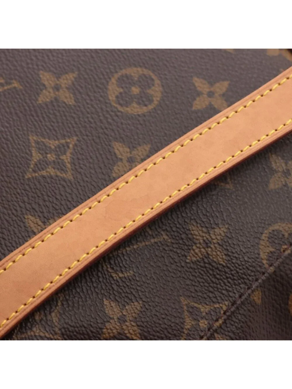 Louis Vuitton brand louis